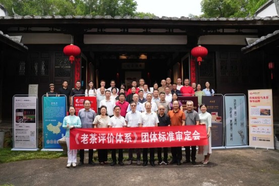 探见老茶市场真相！这场研讨会揭示行业新风尚