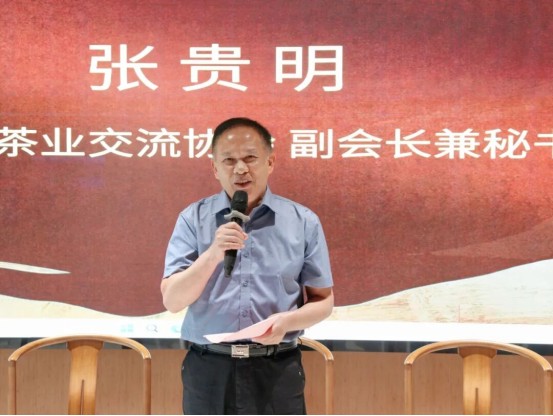 探见老茶市场真相！这场研讨会揭示行业新风尚