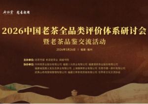 探见老茶市场真相！这场研讨会揭示行业新风尚
