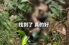 男童走失13天后被警犬找到 身体状况无大碍