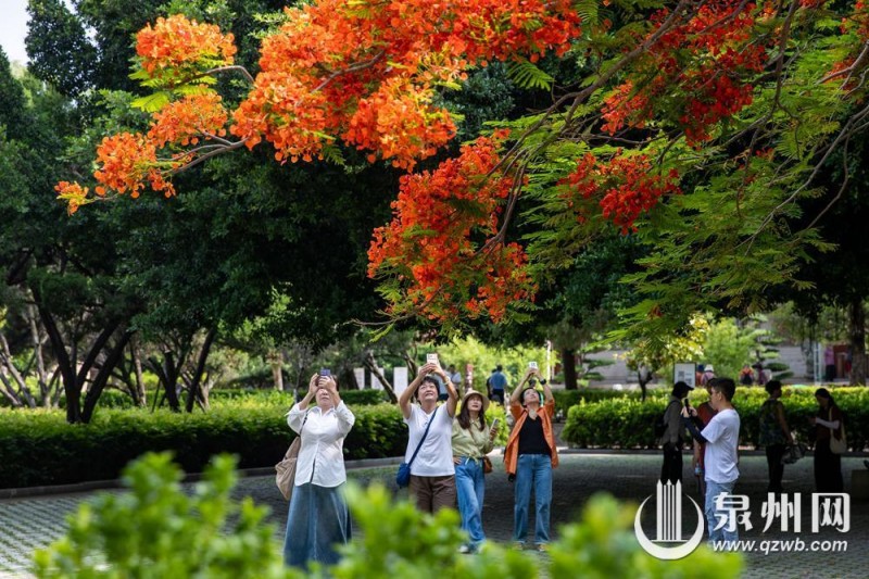 绚烂花景吸引市民、游客驻足观赏、拍照，在古韵与繁花相融的美景里尽享惬意时光。（融媒体记者 陈起拓 陈淑华 摄）