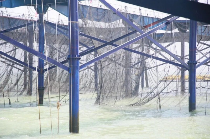 5月27日，“航宁2号”深远海智能养殖平台竣工投产并投苗，首批10万尾黄瓜鱼苗被精准投入6万立方米水体的深海网箱。
