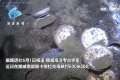 挪威深海发现载有中国瓷器的沉船 打捞出数千件珍贵文物