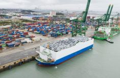 深耕非洲蓝海市场 福建外贸跑出增长加速度