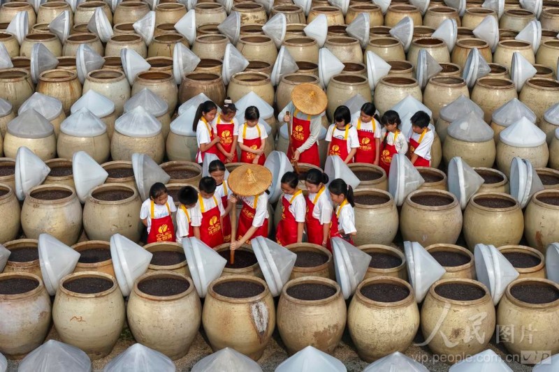 6月2日，福建省南安市洪濑镇，工作人员现场向孩子们讲解洪濑豆豉古法酿造技艺。