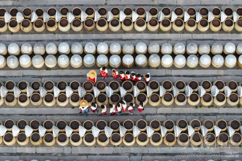 6月2日，福建省南安市洪濑镇，工作人员现场向孩子们讲解洪濑豆豉古法酿造技艺。