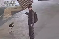 柴犬等主人下班时被男子射晕带走 嫌疑人已被抓获