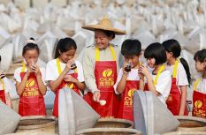 福建泉州：体验非遗酿造 研学豆豉文化