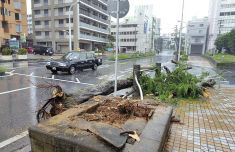 受台风“蔷薇”影响 日本和歌山县发布最高等级5级警戒