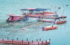 龙岩永定区龙湖渔港：以鱼护水、渔旅融合