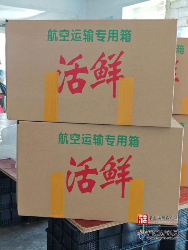 苗种从连江出发到抵达北方养殖基地，全程压缩至12小时。连江县融媒体中心供图
