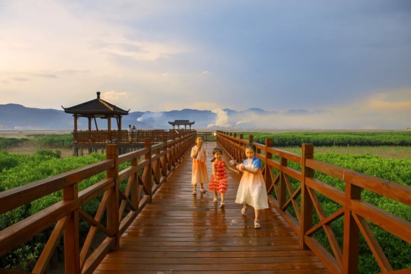 北山红树林湿地公园
