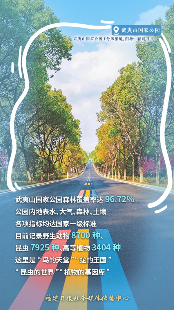 武夷山国家公园构建“天空地”一体化监测体系，以智慧管理平台为“智慧大脑”，守护着园内的生态资源与生物多样性。