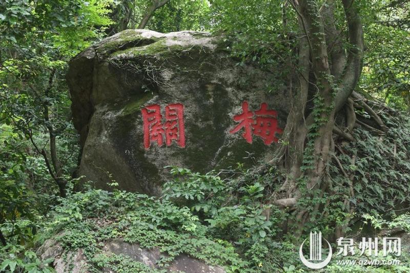 梅岩