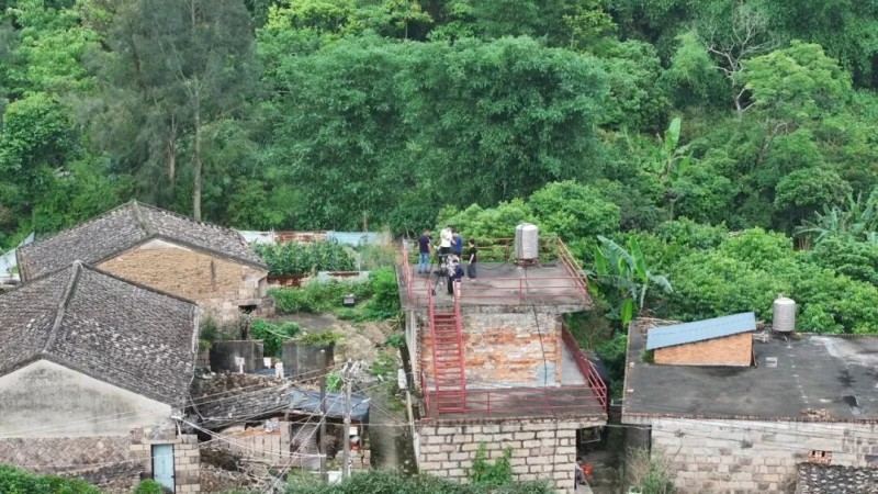 重磅预告！ 濂澳村计划在今年十月份建造一个苍鹭投料台，让没有觅食能力的老苍鹭能够安全过冬。