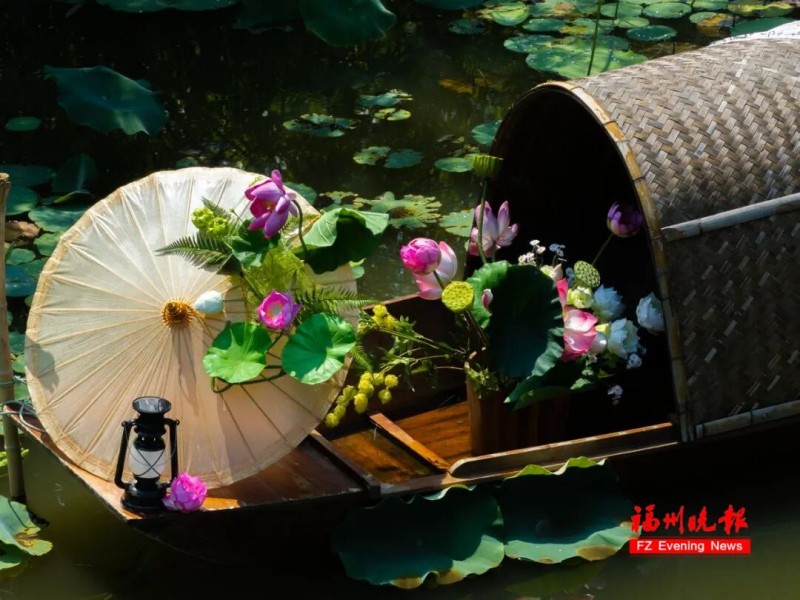 福州茶亭公园5000平方米的荷塘，在城市中轴线铺开一片清凉。