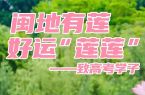 闽地有莲，好运“莲莲”——致高考学子