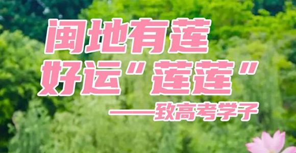 闽地有莲，好运“莲莲”——致高考学子