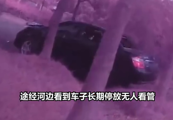 视频截图
