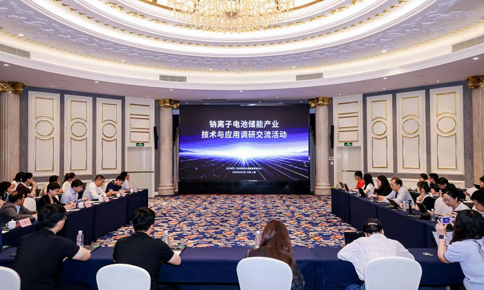 钠离子电池储能产业技术与应用调研交流活动现场