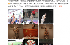 霍思燕携爱犬在意大利夺冠 “霍蜜蜡”取得中型贵宾犬意大利青年冠军第一名