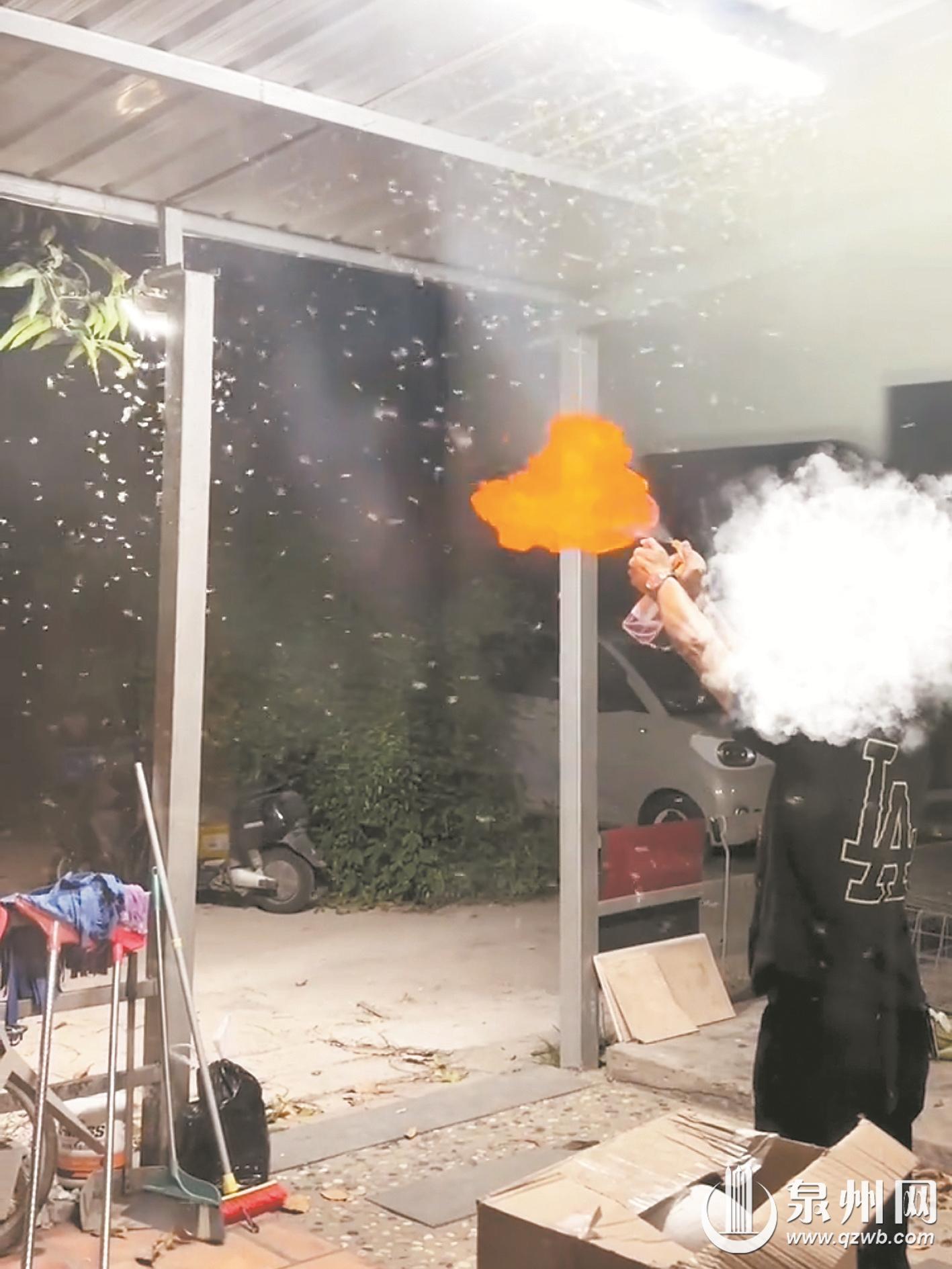 高温多雨 大水蚁频出没 提醒:科学防护减少蚁害