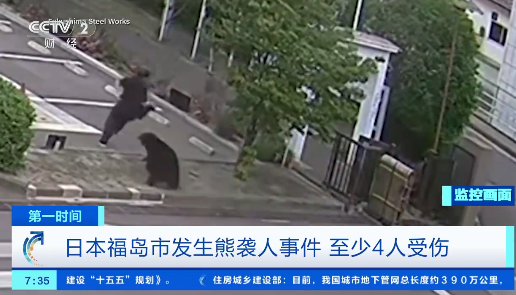 黑熊闯城区 日本熊患致近百所学校停课