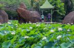 刺桐城夏日“花样百出” 吸引游客纷至沓来