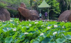 刺桐城夏日“花样百出” 吸引游客纷至沓来