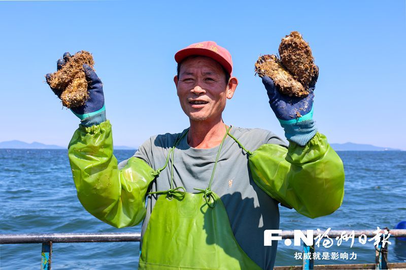 连江定海:一粒生蚝“长”出千万产值