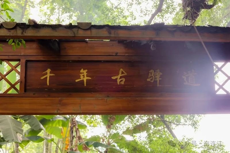 沉浸式解锁连江这条跨越千年的古驿道——汤岭古道。