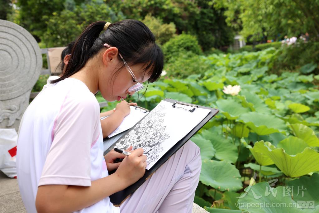 6月7日，福州茶亭公园荷花盛放，不少小朋友前来写生作画。