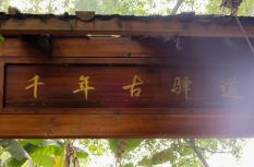 景美人稀！连江这条千年古道藏不住了！