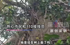 山崖下捡到手机一抬头失主在树上：爬观景巨石打卡拍照不慎坠崖