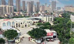 又潮又好玩！莆田新晋网红打卡点——桃鲤丛林咖啡馆