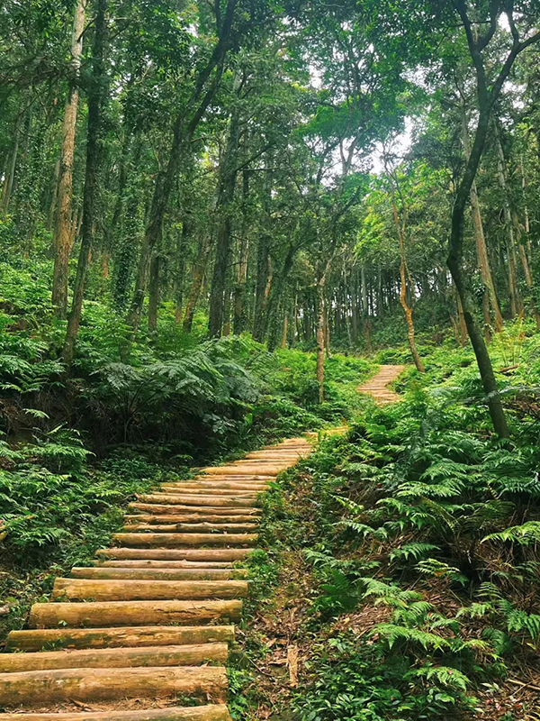 从笔架山而下，一条古驿道蜿蜒远去。青石板被岁月磨得温润光滑，每一道纹理都藏着一个故事。王琳 摄