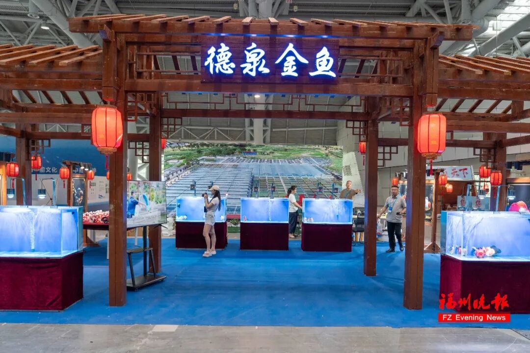 第十八届中国（福州）国际渔业博览会现场。记者 林双伟 摄