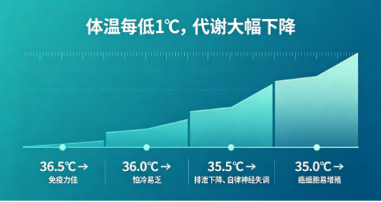 中德端午节活动1029