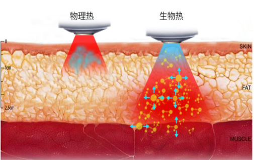中德端午节活动1030