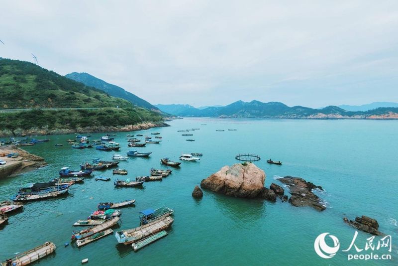 作业渔船与养殖网箱错落碧波之上，成为霞浦特色景观。人民网 林铭贤 摄