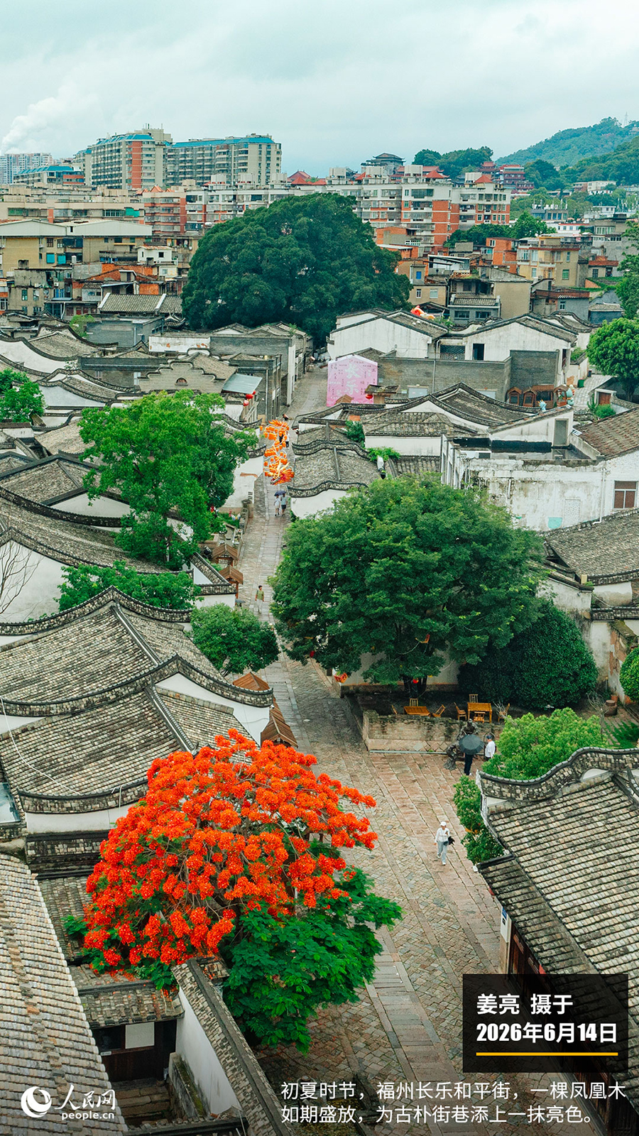 “遇见福建之美”栏目：聚焦福建一周大事记