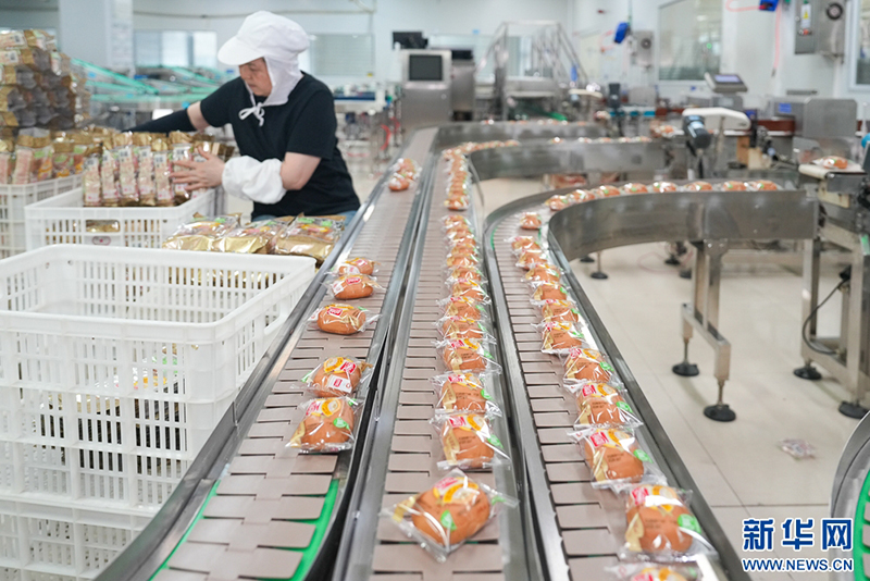这是盼盼食品集团有限公司5G智慧工厂面包包装产线。金融“活水”助力企业打造新质生产力，实现高质量发展。新华网 肖和勇 摄
