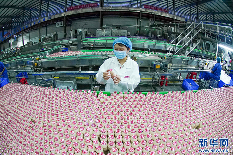 这是盼盼食品集团有限公司5G智慧工厂饮料智能包装生产线，工人在检查饮料包装情况。多年来，农行福建晋江支行通过“一链一策”，助力盼盼食品构建良性发展的产业生态圈。新华网 肖和勇 摄
