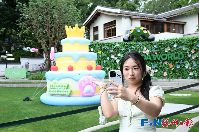2026年6月15日起，大梦山迎来“国宝生日季”，1个月时间5只大熊猫先后过生日。记者 叶诚 摄