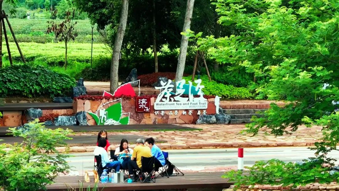 闽人新智|如何做到“人与青山两不负”,武夷老茶农有了新答案