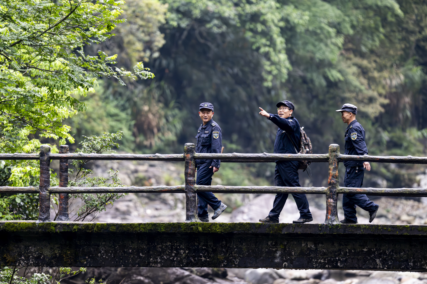 闽人新智|如何做到“人与青山两不负”,武夷老茶农有了新答案