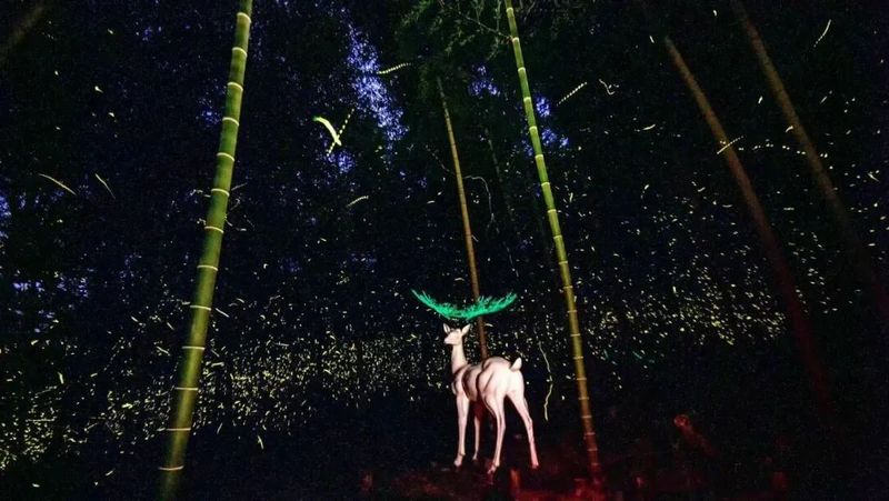 平缓的山林步道，全程轻松不累，老人小孩都能轻松游玩，是全家出游的绝佳选择。