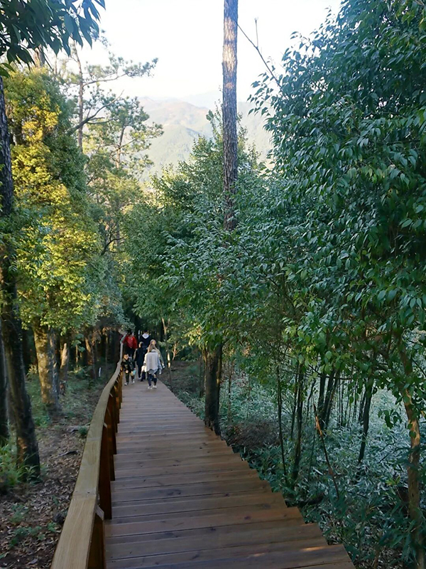 景区绿植覆盖率超高，空气清新、温度适宜，妥妥的城市周边宝藏避暑后花园。