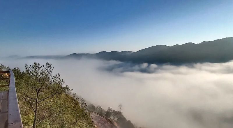 仙亭山步道蜿蜒清幽，沿途竹林婆娑，清风穿林而过，隔绝夏日燥热。