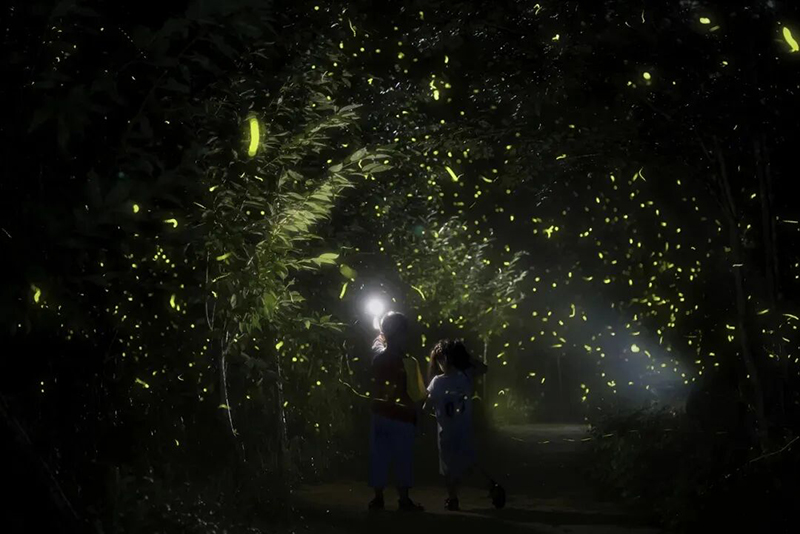 平缓的山林步道，全程轻松不累，老人小孩都能轻松游玩，是全家出游的绝佳选择。
